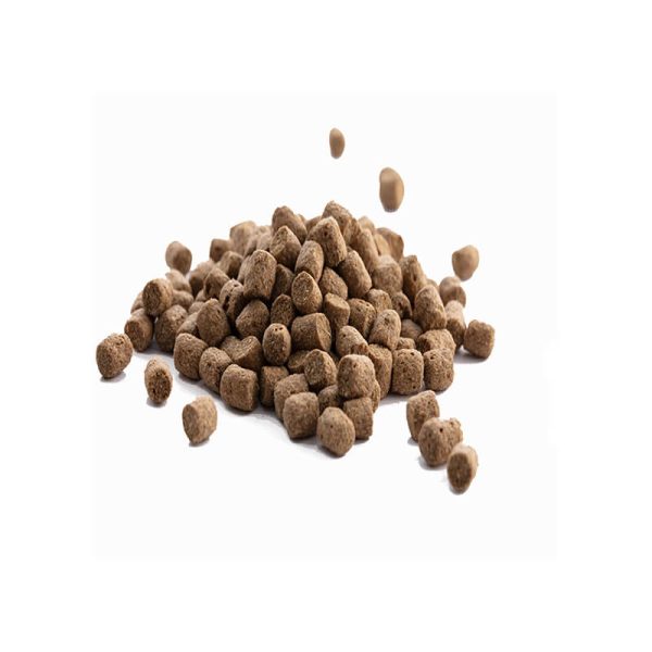 ماهی کپور پرواری دو